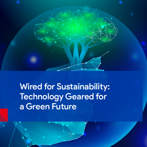Sustainability for Business and Tecnology: Wired for a Green Future