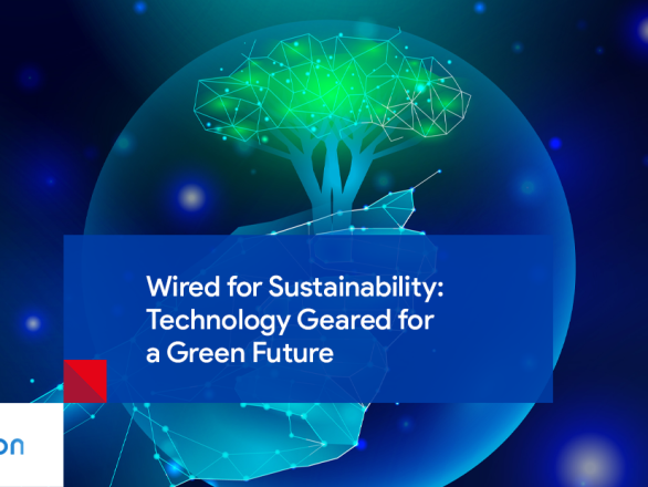 Sustainability for Business and Tecnology: Wired for a Green Future